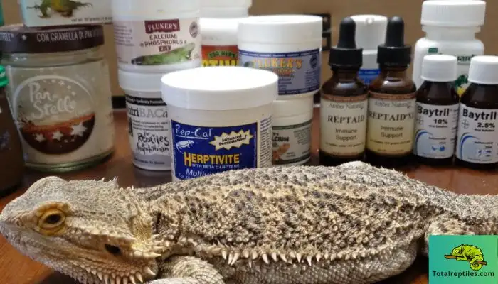 Supplements for Bearded Dragons