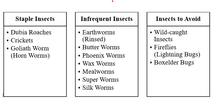 Suggested Feeder Insects & Insects to Avoid for Bearded Dragons